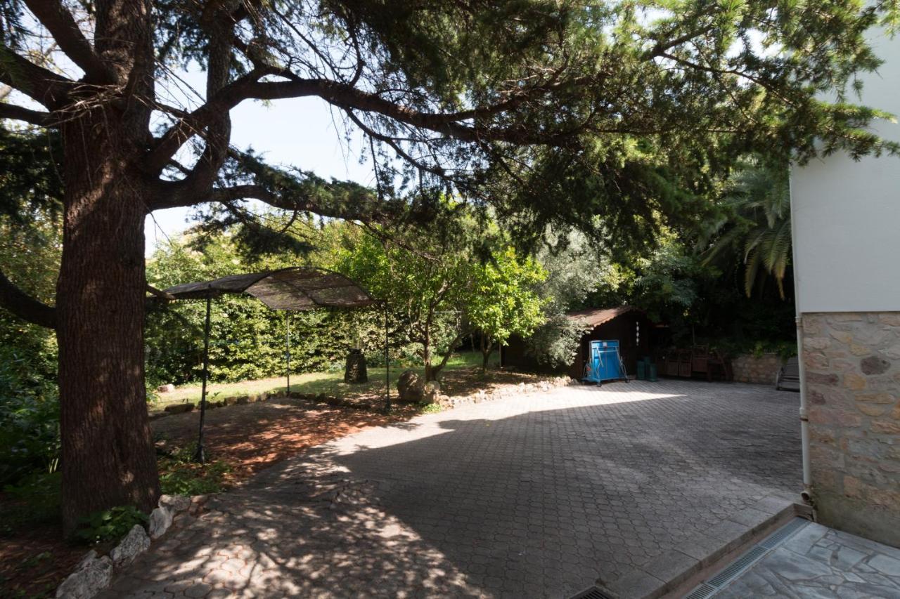 Villa Tsavorite - Cannes Californie Exterior photo